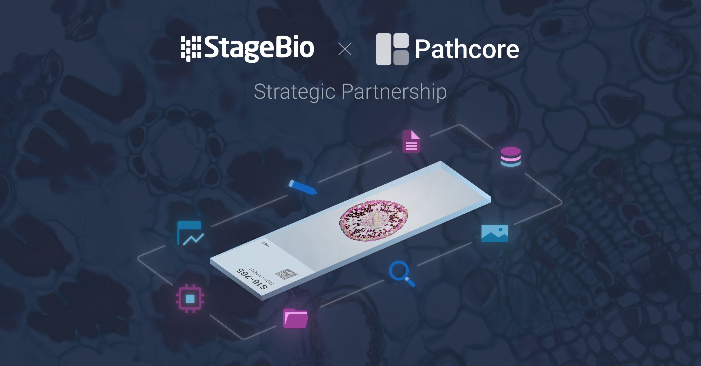 StageBio x Pathcore - Final (text)