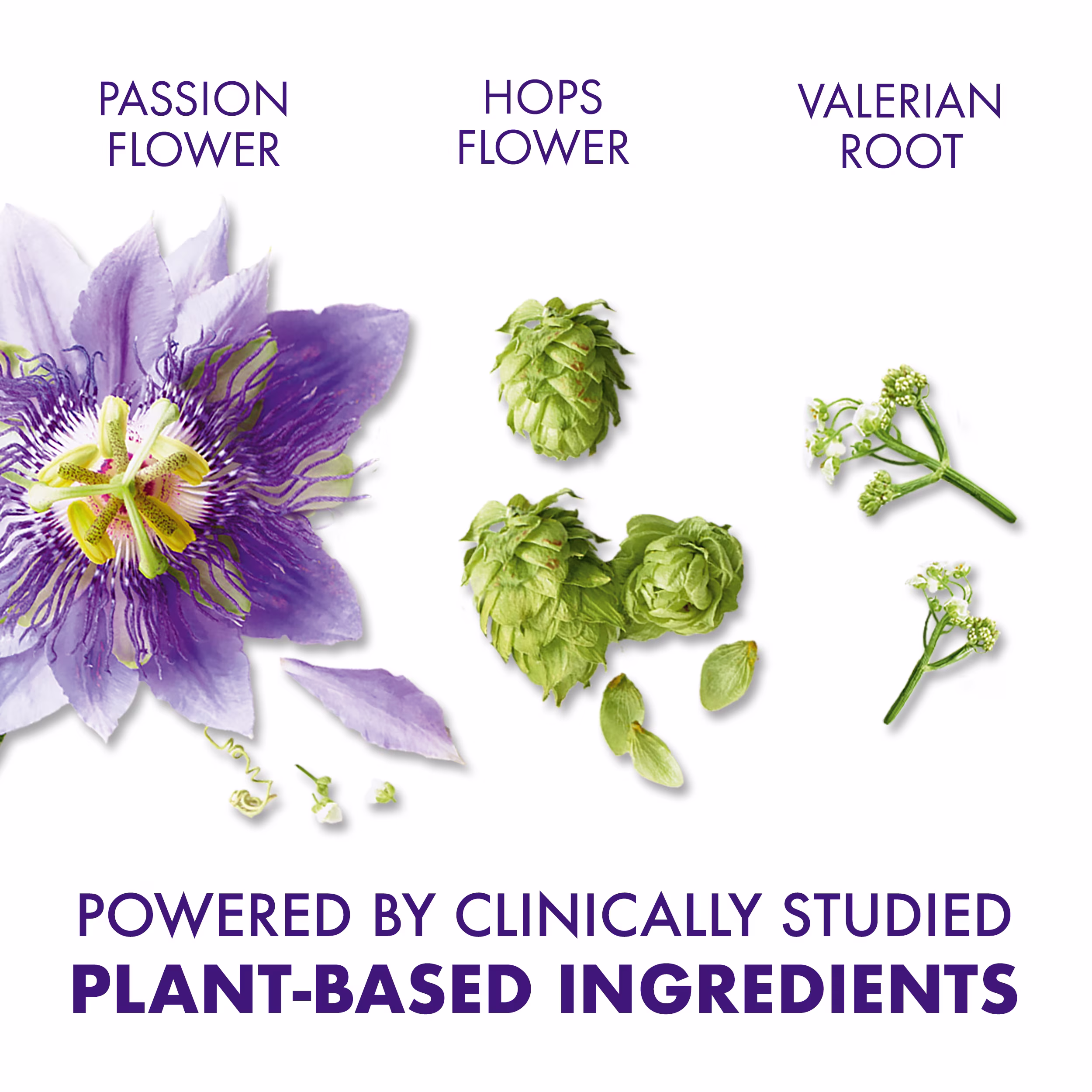 Passion flower, hops flower, and valerian root arranged on a white background with text "Powered by clinically studied plant-based ingredients".