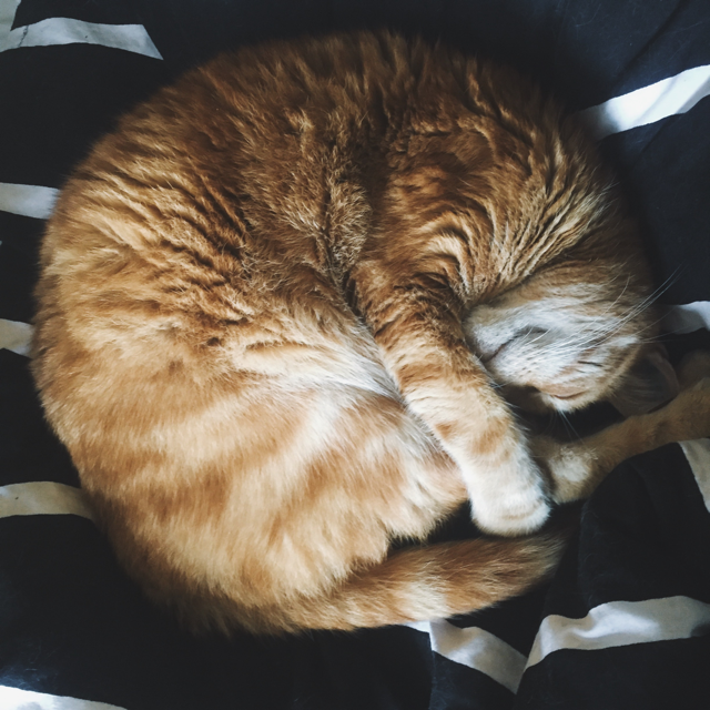 Emil