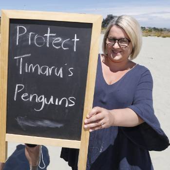 Blue penguins saved