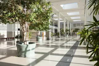 An interior photo of a hall with plants at 200 Walker.