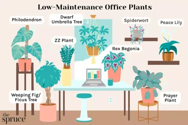 Examples of low-maintenance office houseplants, The Spruce