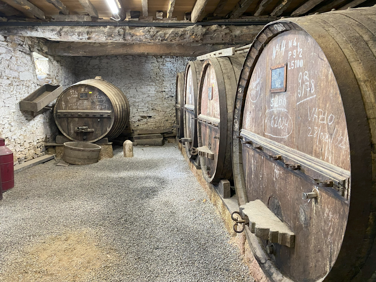 Wine Cellar in Portugal