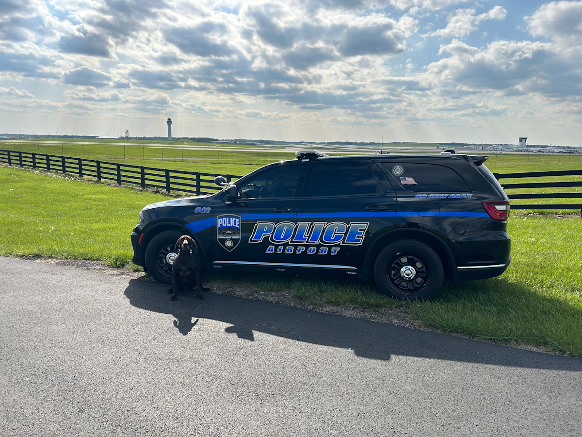 brick-and-police-car920a3ab64cd0612693aaff000057c385