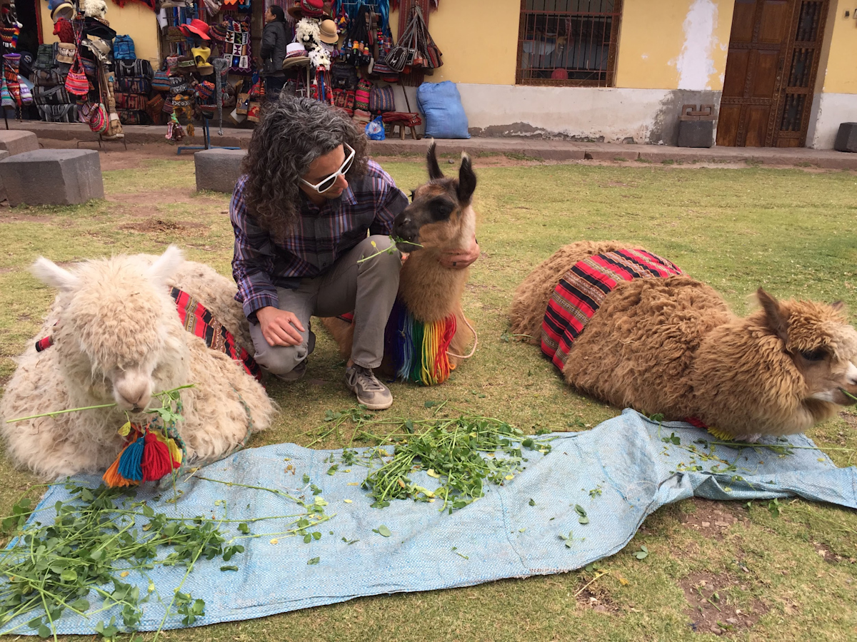 Jay with Alpacas