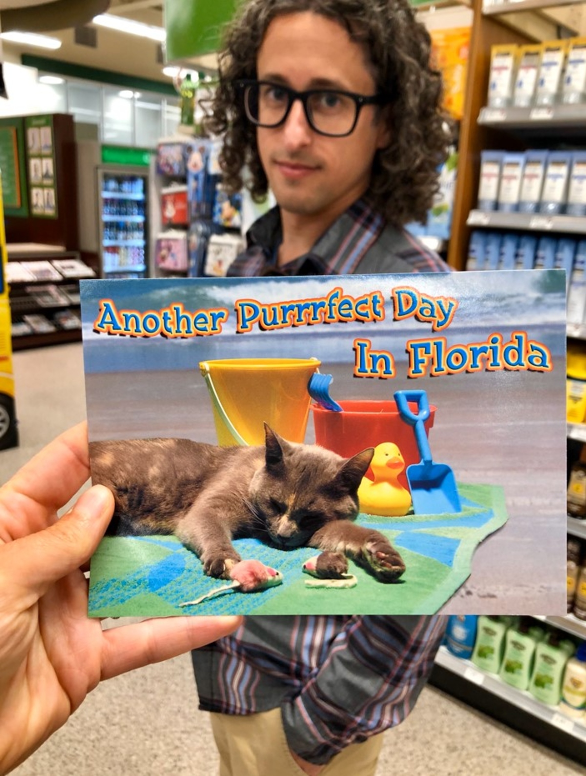 Jay with Cat Postcard
