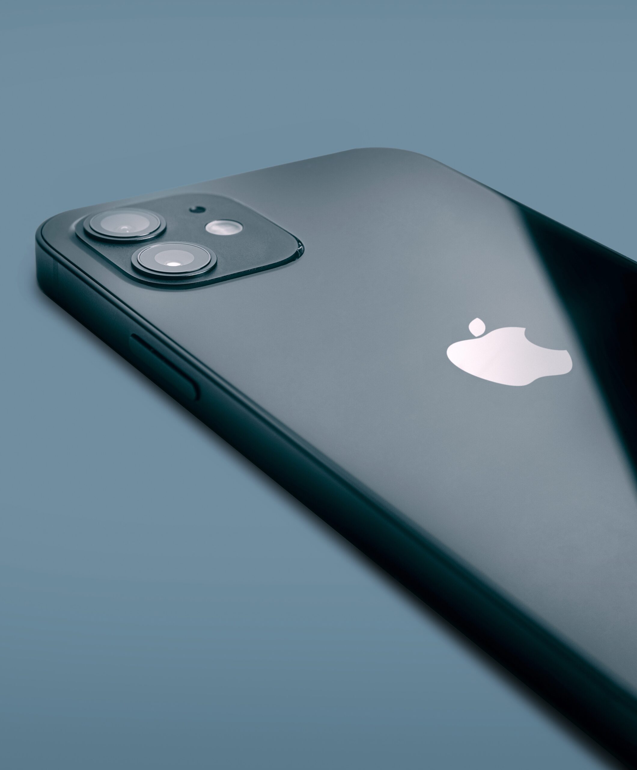 alexander-andrews-Wzs4-QEmCUQ-unsplash-scaled