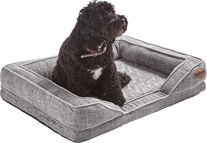 dog on an orthopaedic dog bed