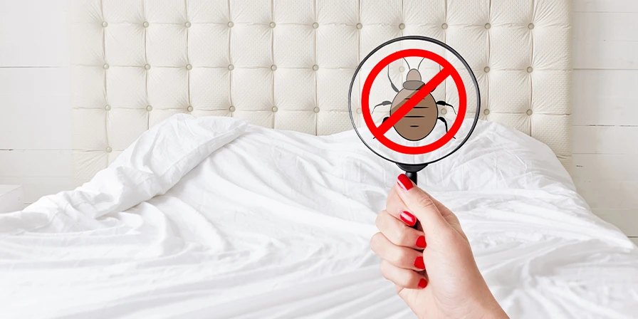 Fresh bed linen with a no bedbug sign