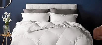 Bedding bundle of feather pillows and duvet