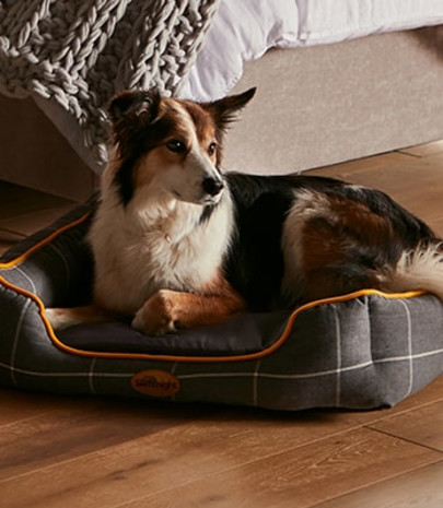 blog pet-bed small