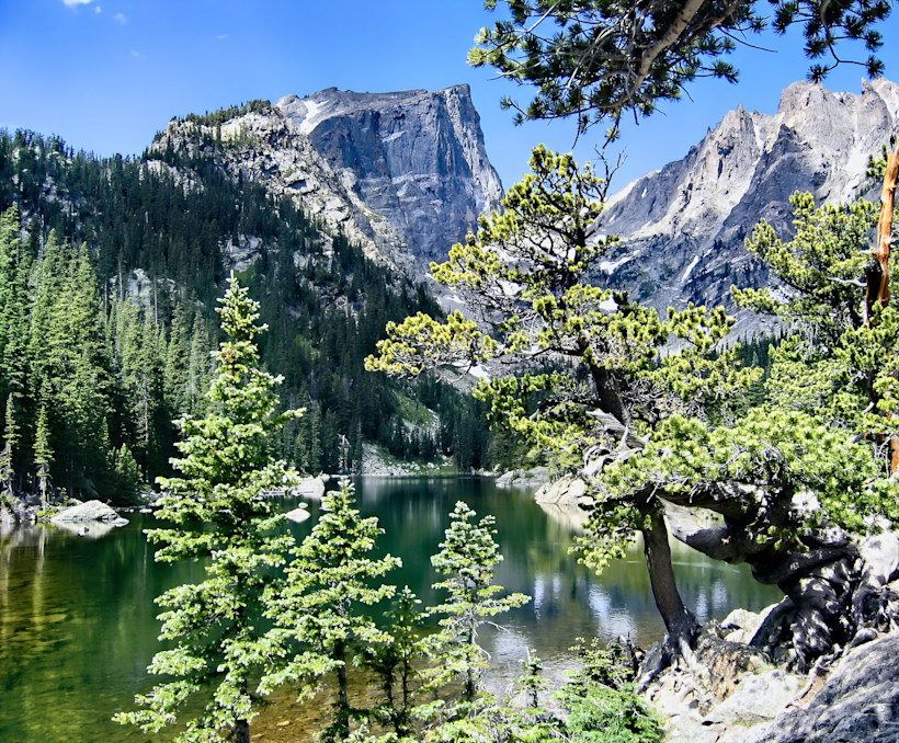 Photo by Roger Lipera on Unsplash