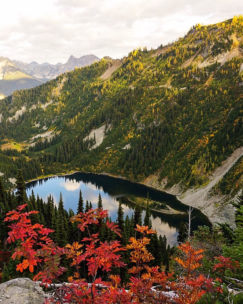Maple Loop Pass