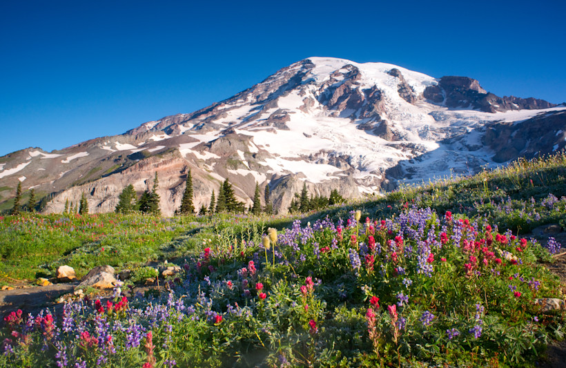 The best wildflower hikes in Washington