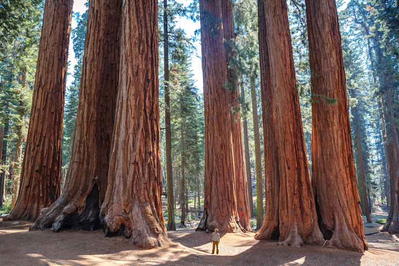 Sequoia National Park
