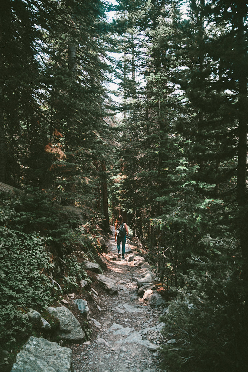 Photo by Josh Gordon on Unsplash