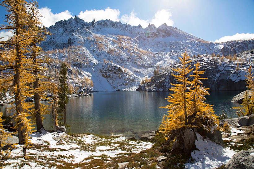 larches enchantments
