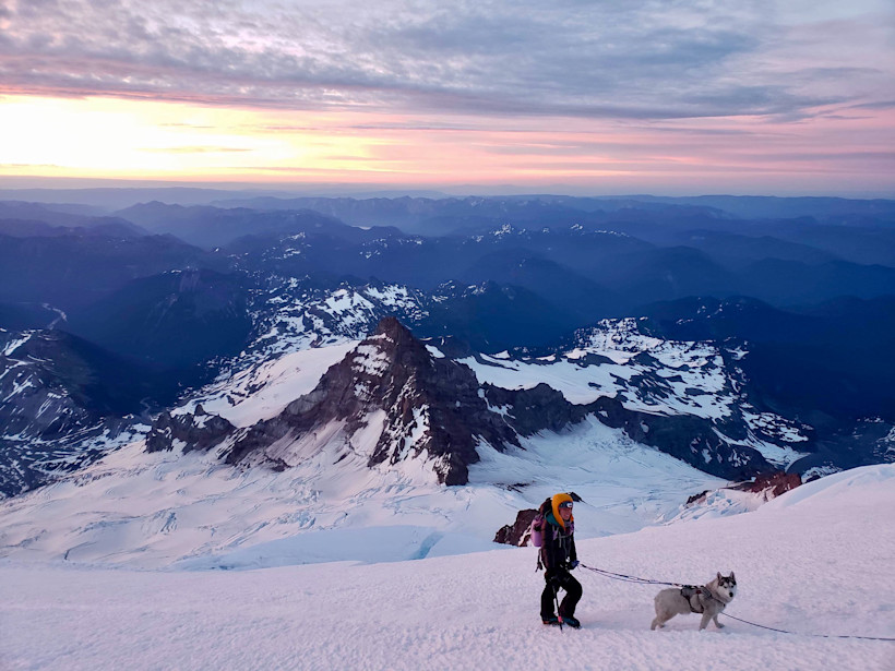 Climbing dog Loki on the snowfield