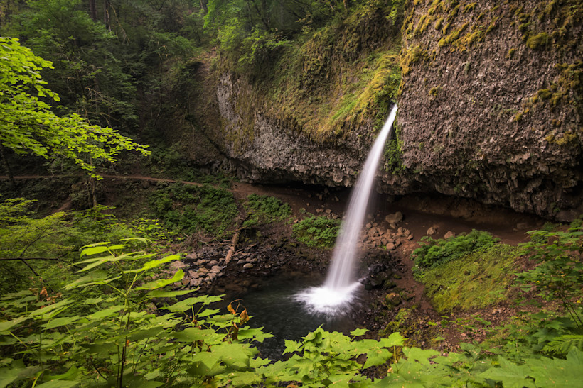 Ponytail Falls in the Columbia River Gorge