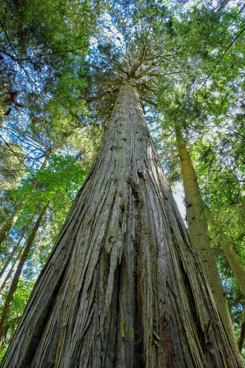 Photo Courtesy of Whidbey And Camano Island Tourism.