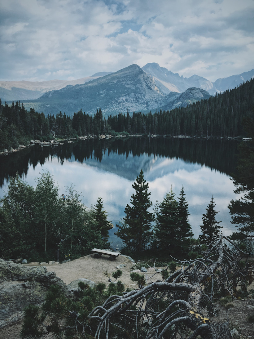 Photo by Jeff Finley on Unsplash