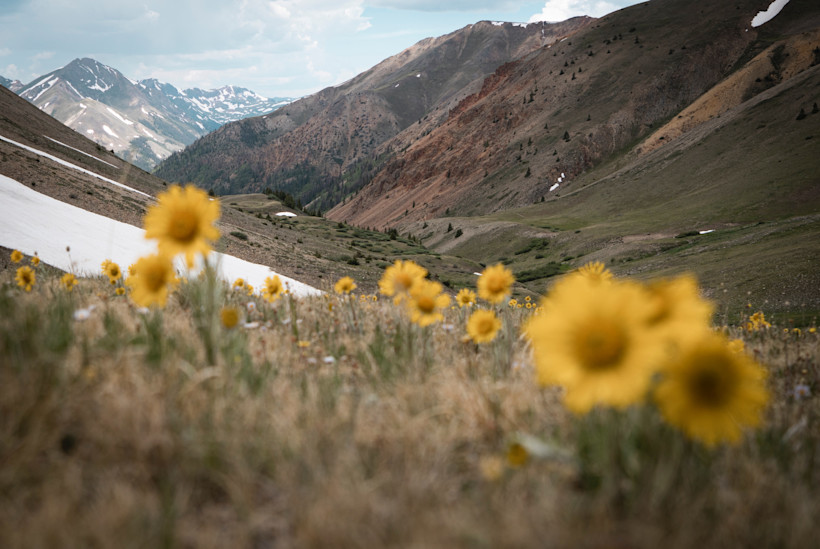 Photo by Intricate Explorer on Unsplash