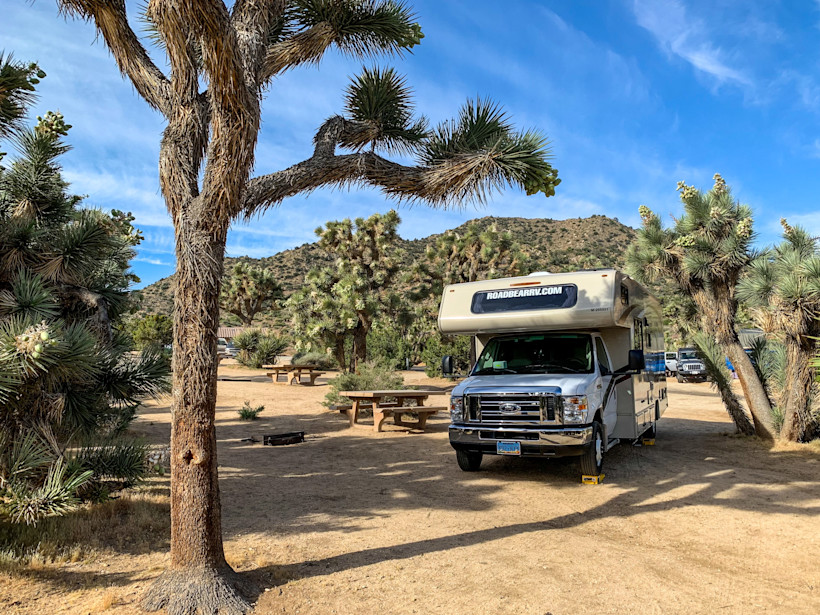 Black Rock Campground in Joshua Tree National Park