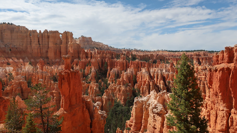 Looking out at a sea of hoodoos at Bryce Canyon National Park.