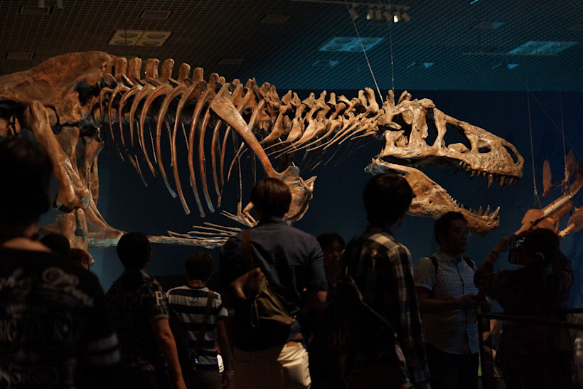Museum of the Rockies, Dinosaur Museum, Montana