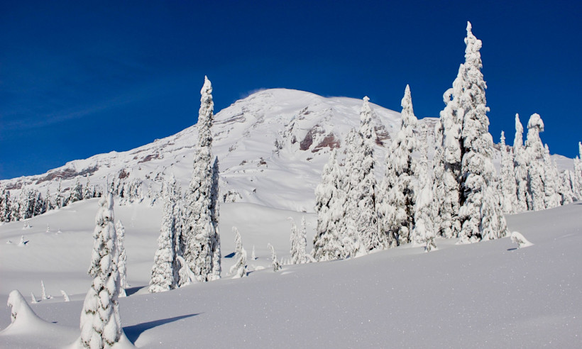 Winter in Mt. Rainier National Park.
