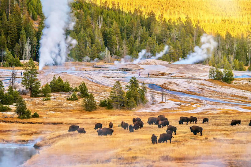 The best things to do in Yellowstone National Park