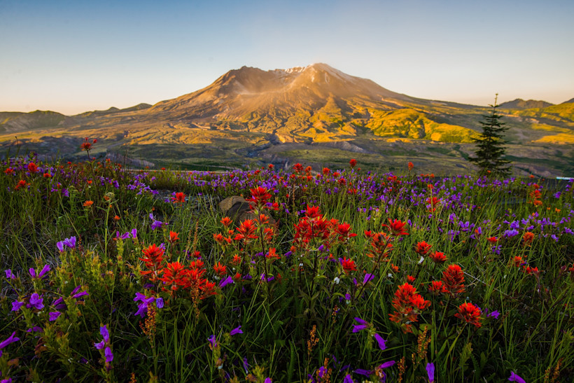 View from the Johnston Ridge Observatory, Mt. Saint Helens