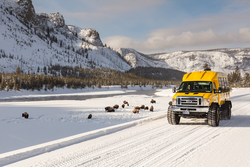 Snowcoach is how to travel through Yellowstone in winter.