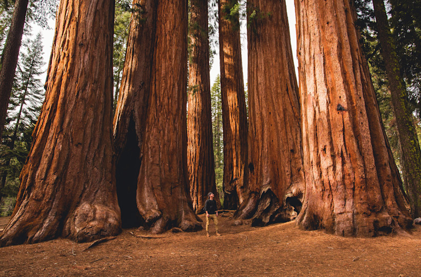 The Best Things to do in Sequoia National Park