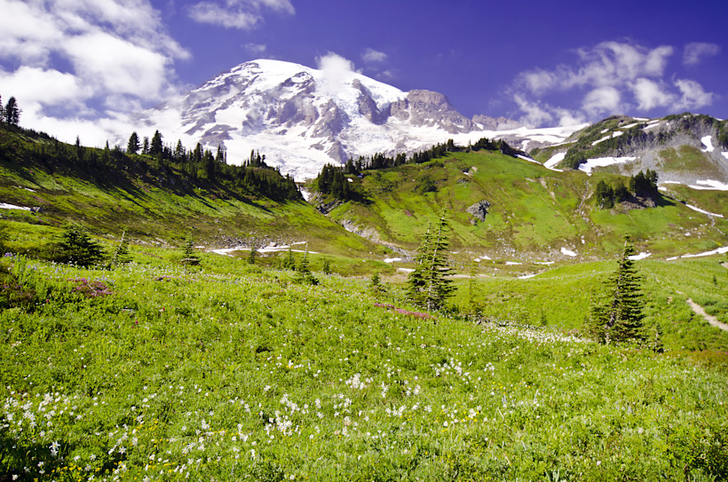 The view of Mt. Hood from Paradise Park