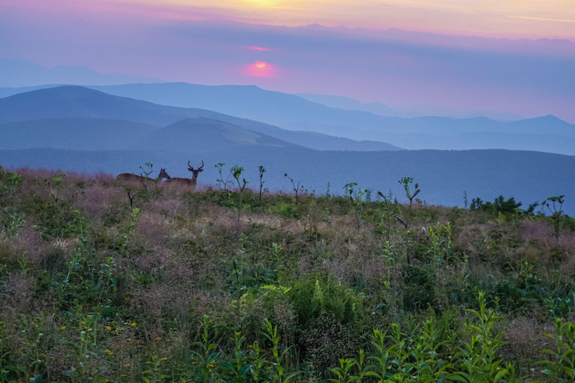 Appalachian Trail