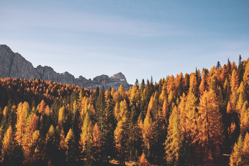 The Best Places to See Fall Foliage in the United States
