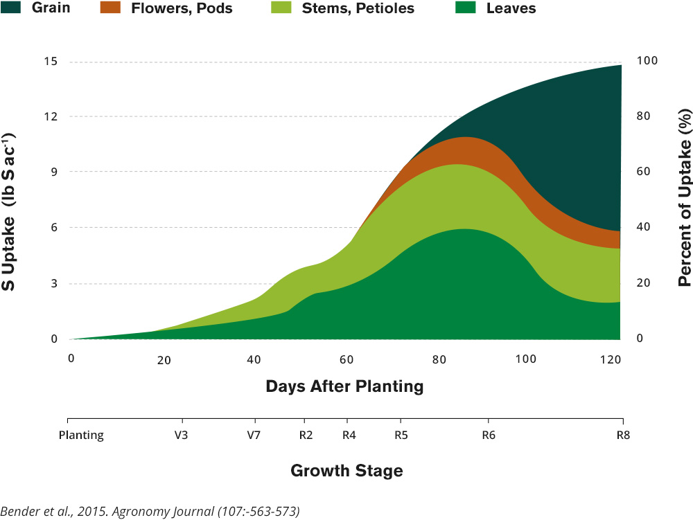 Growth Stages - Days After Planting With S