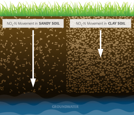 Nitrate is more likely to move downward in sandy soil than in clay soil. Source: IPNI