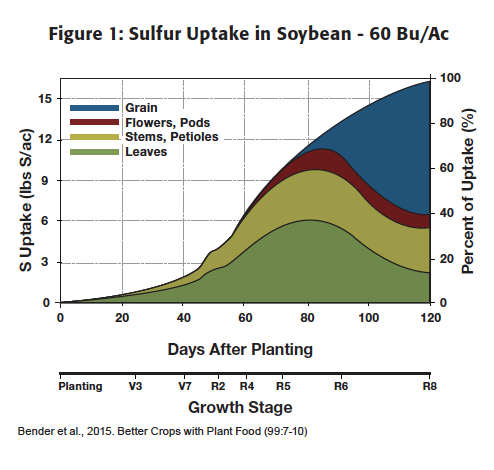S10-vs-DAP-Soybean-Study-Figure-1