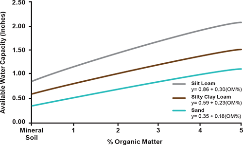 Relationship between organic matter and water