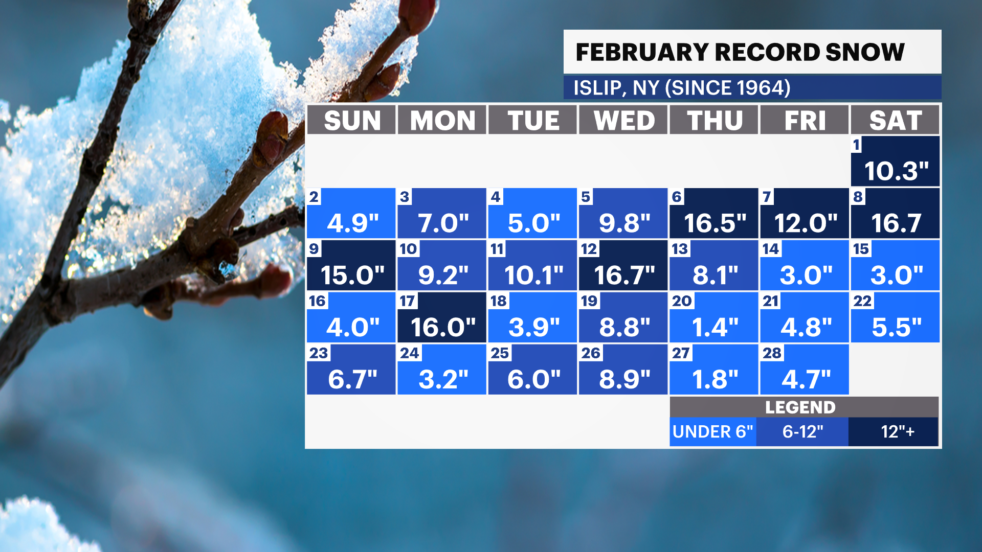 daily record snwo february.png