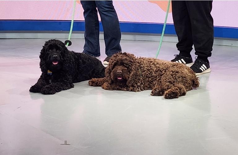 MicrosoftTeams-image (75).png