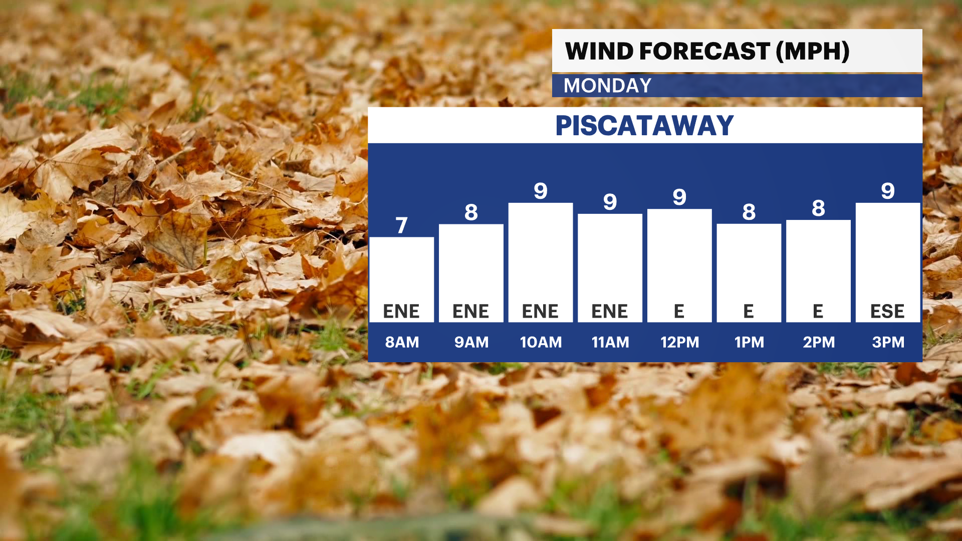 NJ Mon 09302024 Wind Hourly Trend.png