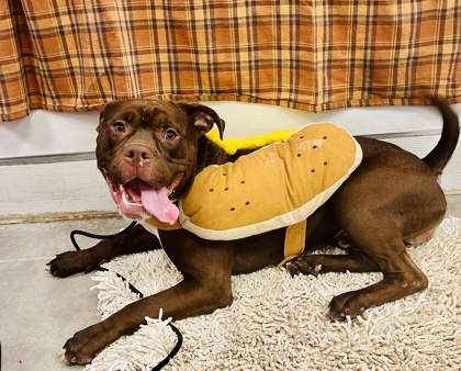 Sweet Baby Ray-s 3.jpg