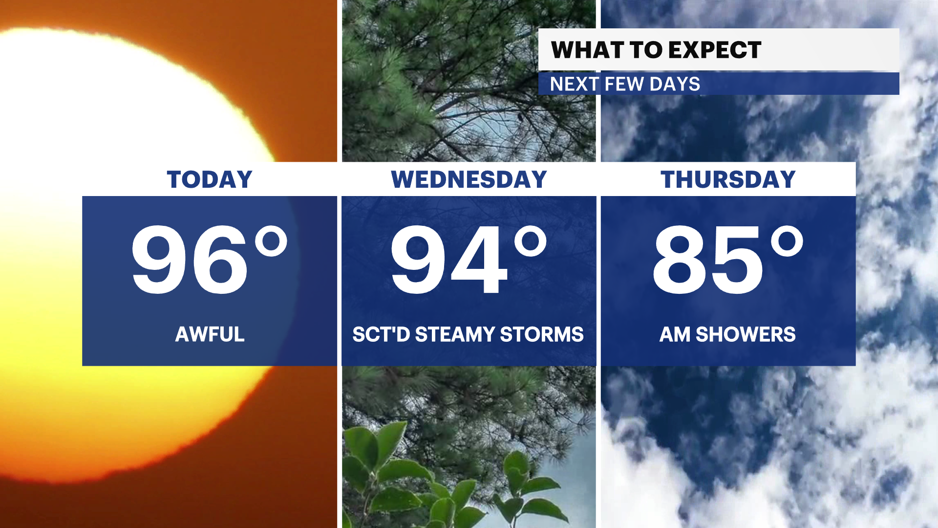 X_Panel_Compare_3 (6).png