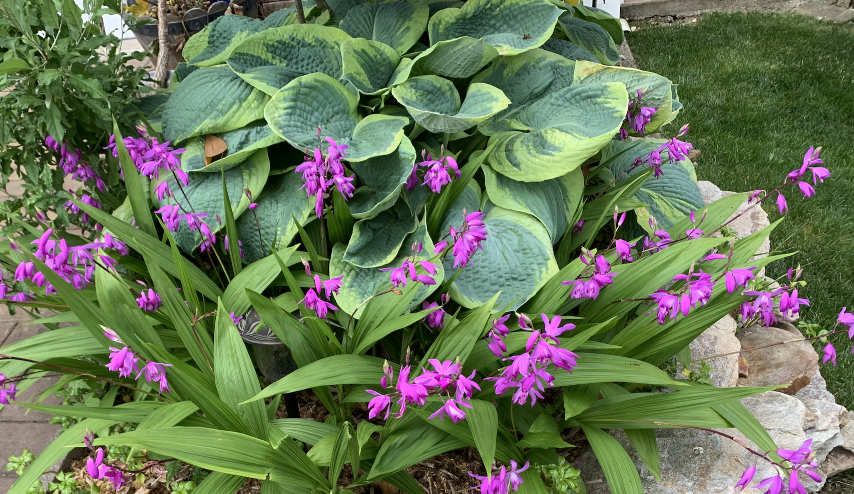 Screenshot 2026-04-08 at 6.51.22 AM.png