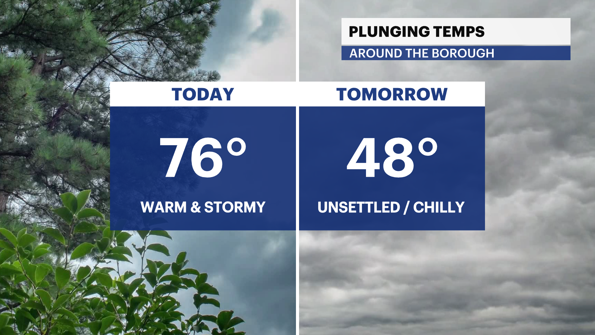 X_Panel_Compare_2 (11).png