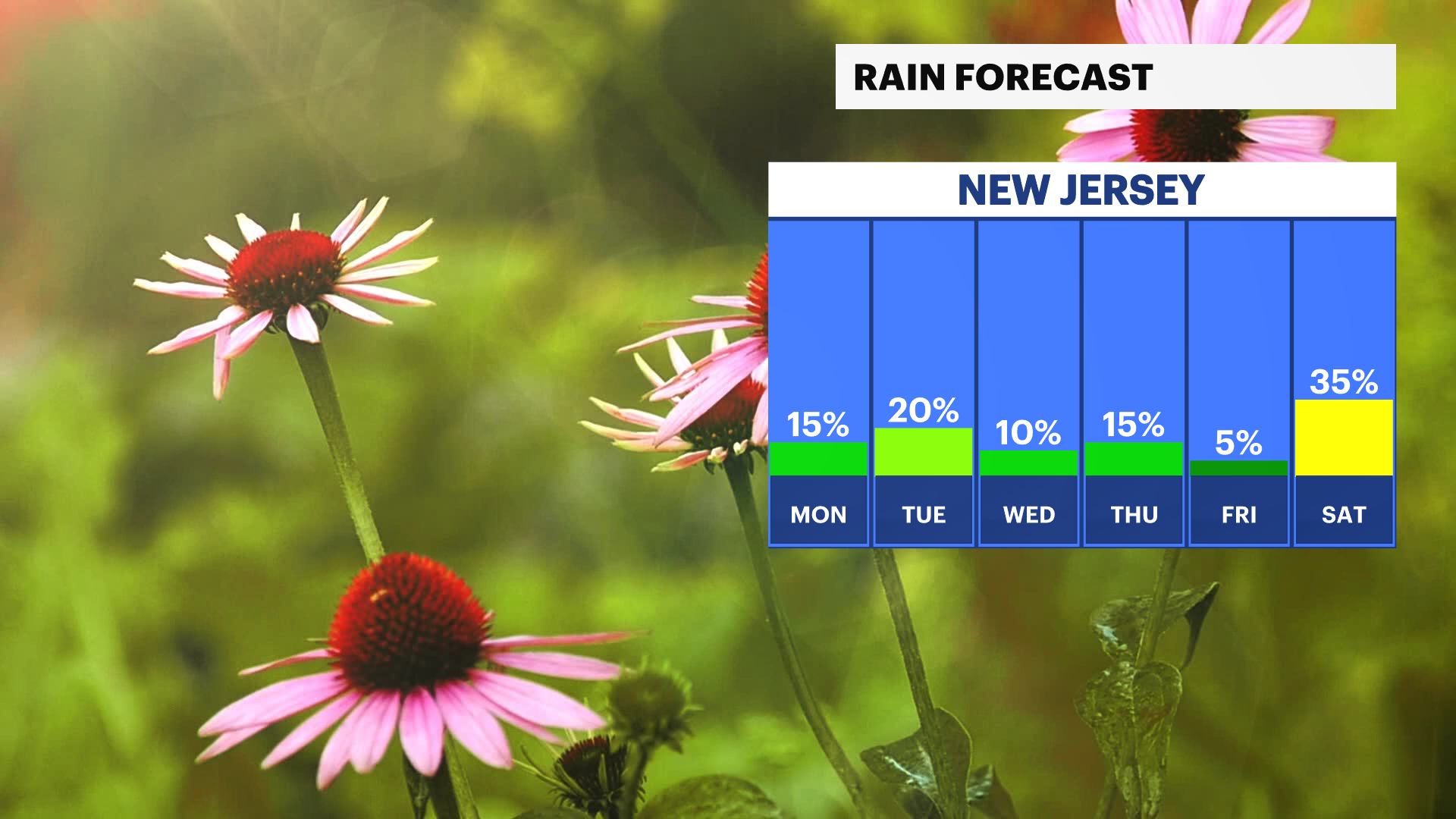 NJ Sun 09292024 Daily Rain Trend.png
