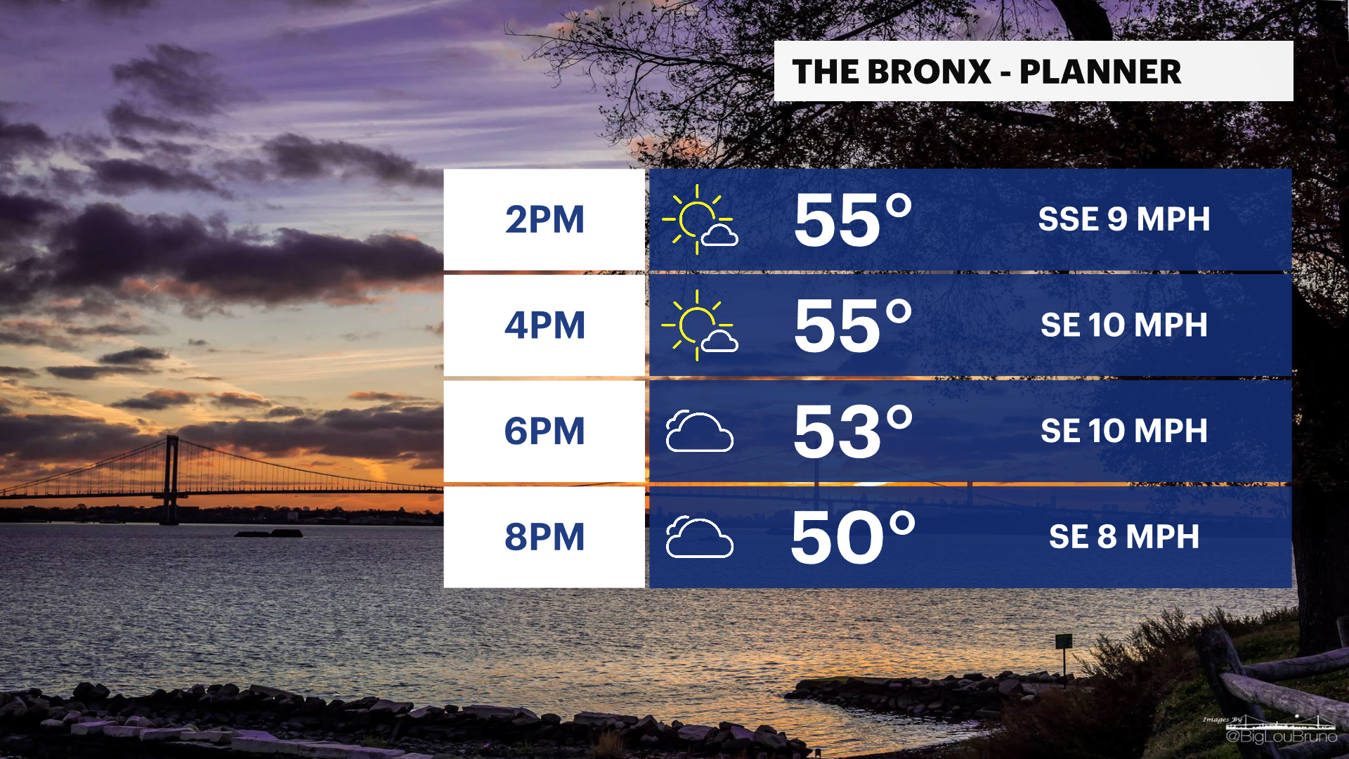 BRONX PLANNER - PM.png